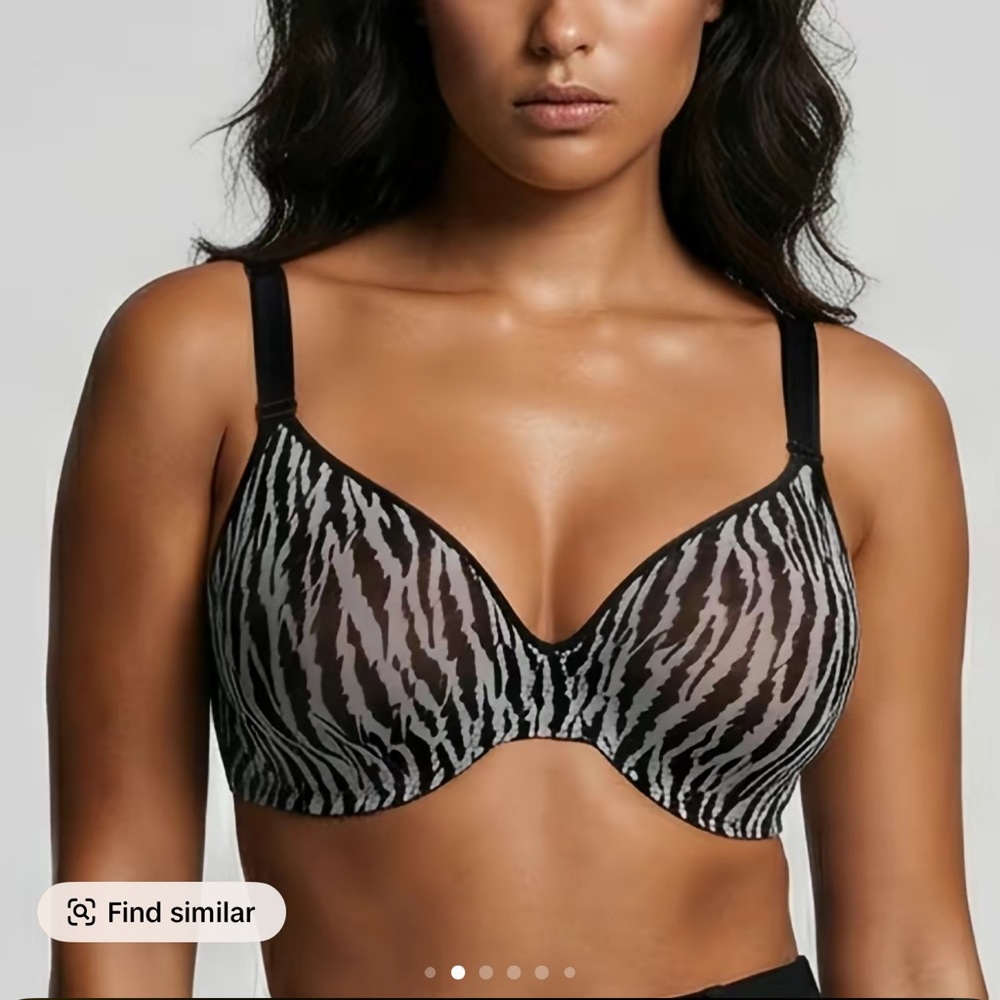 HSIA Wild Stripes Underwire Bra NWOT 44DD